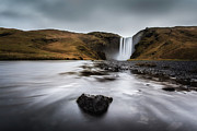 Majestically unique Photograph by Jorge Maia