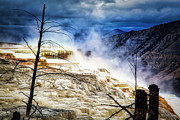 Mammoth Hot Springs in Yellowstone Photograph by Bruce Block