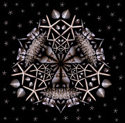 Mandala White Sea Star Photograph by Nancy Griswold