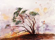 Manzanita Tree Painting by Kristina Vardazaryan