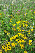 Marengo Ridge Photograph by Ray Mathis