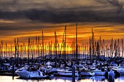 Marina at Sunset Photograph by Brad Granger