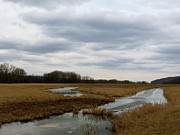 Marsh Day Photograph by Azthet Photography