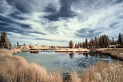 Marshlands in Washington Photograph by Jon Glaser