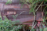 Massey - Under Seige Photograph by DArcy Evans
