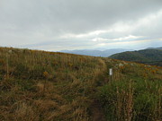 Max Patch 2 Photograph by Richie Parks