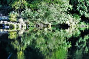 McKenize River Scene Photograph by Merle Grenz McKenize River Scene Photograph by Merle Grenz