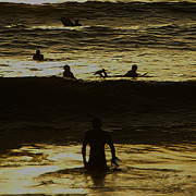 Meditari - Gold Photograph by Linda Shafer