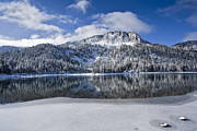 Melting Ice Photograph by Kelley King