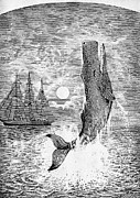 Melville: Moby Dick Photograph by Granger