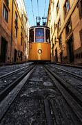 Memory lane Photograph by Jorge Maia