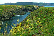 Mendocino Headlands Photograph by Charlene Mitchell