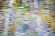 Merced River Reflections 6 Photograph by Larry Marshall Merced River Reflections 6 Photograph by Larry Marshall