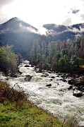 Mercrd River Ca A Photograph by Phyllis Spoor