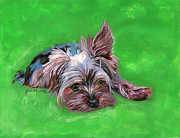 Merle Painting by Renee Catherine Wittmann