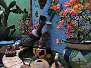 Mexican Blue Photograph by Mark Egerton