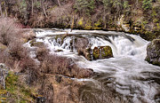 Meyers Falls Photograph by Loni Collins