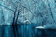 Michigan Winter 14 Photograph by Scott Hovind