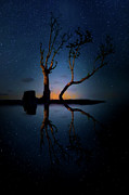 Midnight Dance of the Trees Photograph by Mark Andrew Thomas
