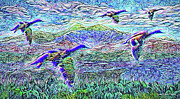 Migrate Beyond The Mountain Digital Art by Joel Bruce Wallach