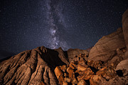 Milky Way and Petrified Logs Photograph by Melany Sarafis