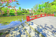 Minamoto lake in Kamakura Photograph by Benny Marty Minamoto lake in Kamakura Photograph by Benny Marty