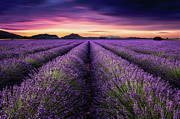 Mindfulness Photograph by Jorge Maia