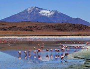 Mirage Photograph by Skip Hunt Mirage Photograph by Skip Hunt