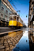 Mirror Photograph by Jorge Maia