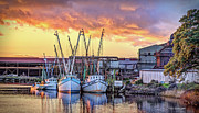 Miss Nichole's Shrimping Company Photograph by Mike Covington