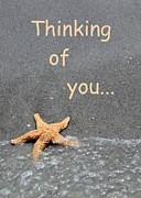 Thinking of You Starfish Photograph by Robert Wilder Jr