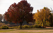 MN Fall Colors Photograph by Arnold Hence
