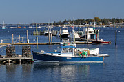 Molly Hock of Southwest Harbor Photograph by Juergen Roth Molly Hock of Southwest Harbor Photograph by Juergen Roth
