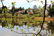 Moments of Reflection Photograph by Allen Nice-Webb