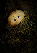 Mon Petit Chou Photograph by Rebecca Sherman
