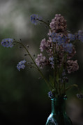 Moody Bouquet Photograph by Bonnie Bruno