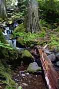Moon Falls #6 Enhanced Photograph by Ben Upham III