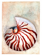 Moon Nautilus Painting by Hilda Wagner