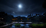 Moon Over The River Photograph by Mark Andrew Thomas