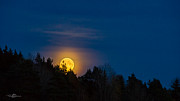 Moon rise Photograph by Torbjorn Swenelius