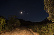 Moon Venus Jupiter Photograph by Melany Sarafis