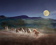 Moonlight Run Photograph by Melinda Hughes-Berland