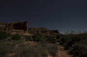 Moonlit Path Photograph by Melany Sarafis
