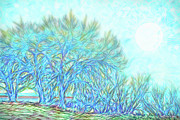 Moonlit Winter Trees In Blue - Boulder County Colorado Digital Art by Joel Bruce Wallach