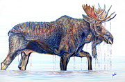 Moose Crossing Painting by Teshia Art