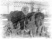 Moo...ving at the County Fair Photograph by Deborah Kunesh