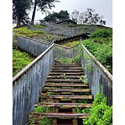 More Steps....to #grandviewpark Photograph by Jennifer D