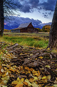 Mormon Row Fall Photograph by Jeff Stoddart Mormon Row Fall Photograph by Jeff Stoddart