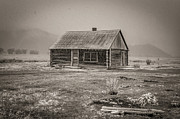 Mormon Row Grand Teton National Park  Photograph by Scott McGuire
