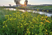 Morning along Nippersink Creek in Glacial Park Photograph by Ray Mathis